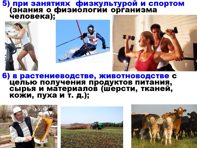 5) при занятиях  физкультурой и спортом (знания о физиологии организма человека); 6) в